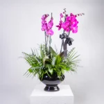 Siyah Renk Seramik Obje İçerisinde 4 Dal Mor Orkide