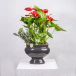 Seramik Obje İçerisinde Anthurium Aranjman Büyük Boy