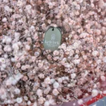 Pink (Pembe) Cipso Buket - Görsel 2