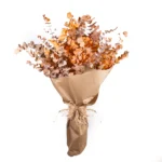 Şoklanmış Okaliptus Buket